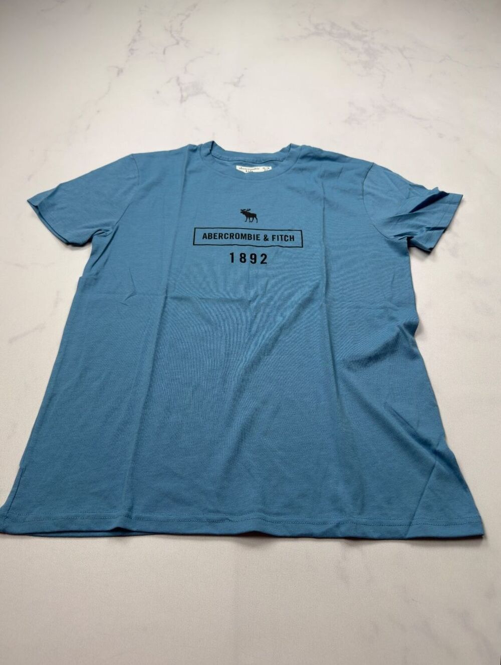 Abercrombie Kids 1892 Graphic Tee Light Blue 2010s Minimalist - Boys 15/16